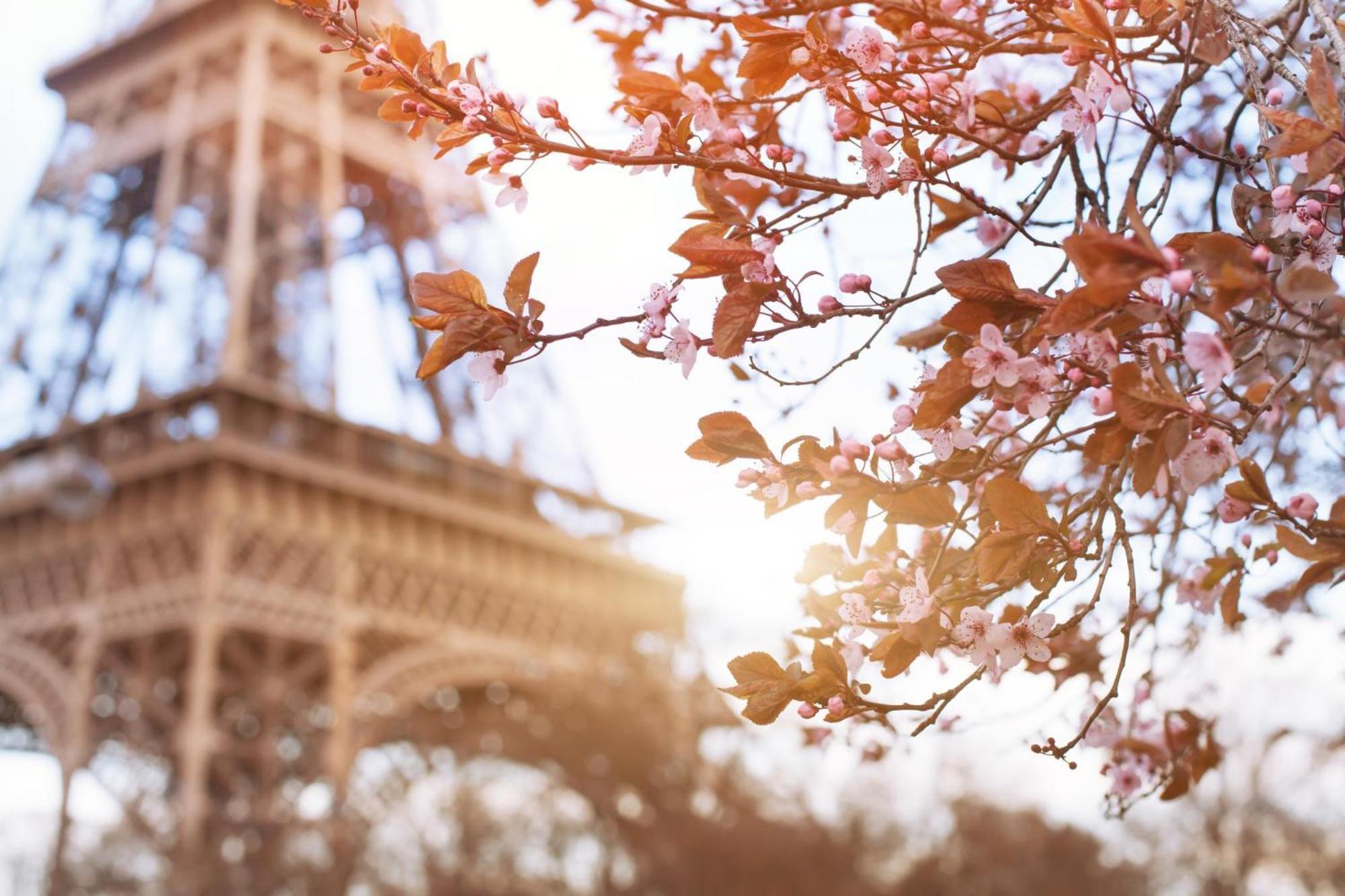 Timhotel Tour Eiffel Paris Exterior foto